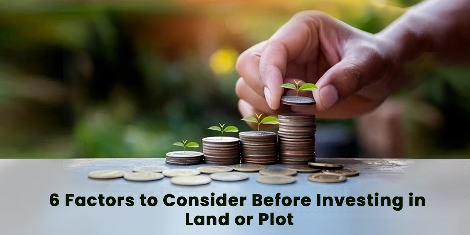 6 Factors to Consider Before Investing in Land or Plot